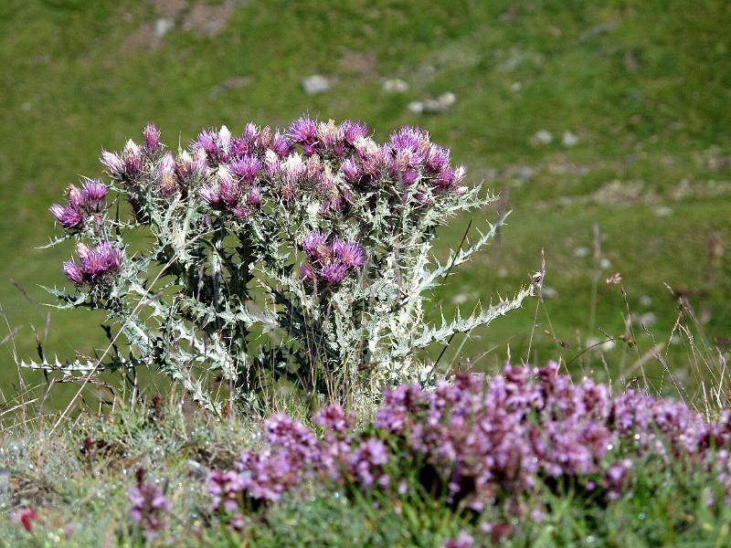 Aquitanien (416).JPG